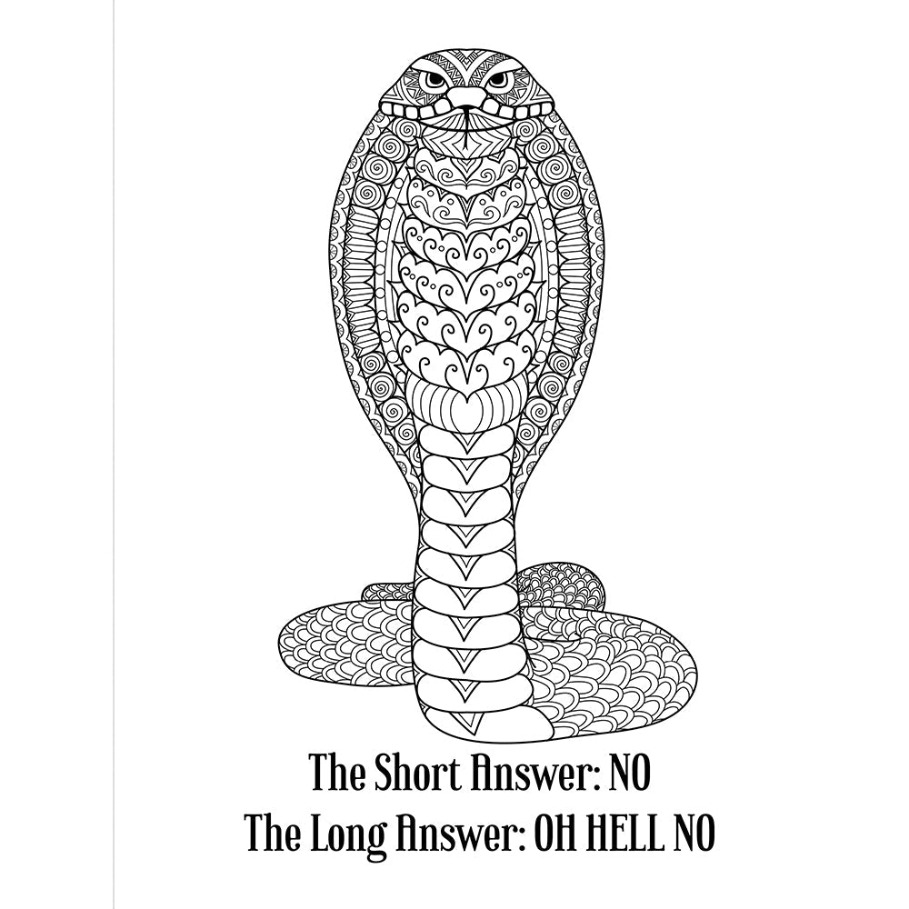 F*ck You Very Much Coloring Book