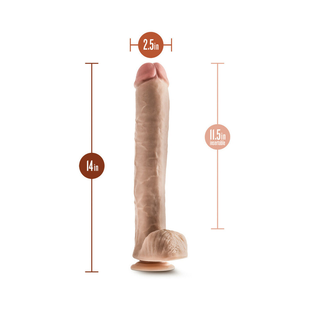 Hung Rider Bruno Realistic 14 in. Dildo with Balls Beige