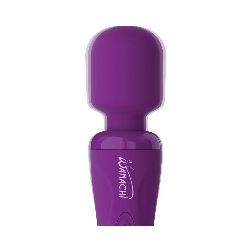 PD Wanachi Body Recharger Wand Purple