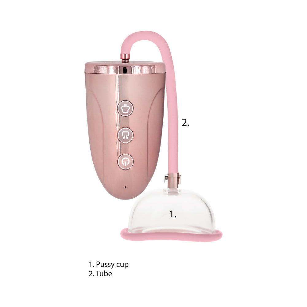 Pumped Rechargeable Pussy Pump Pnk