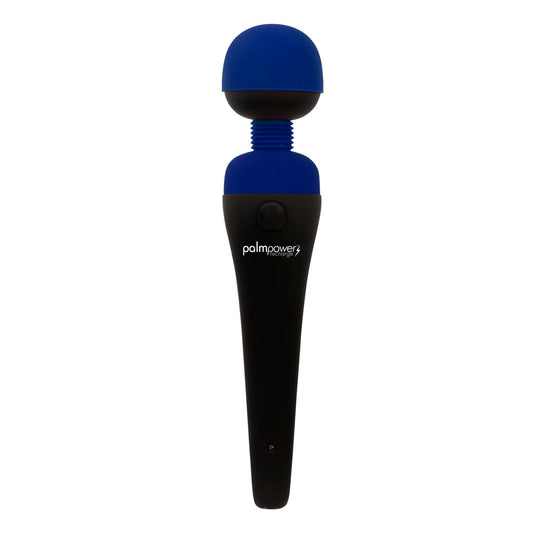 Palmpower Recharge Massager USB Blue