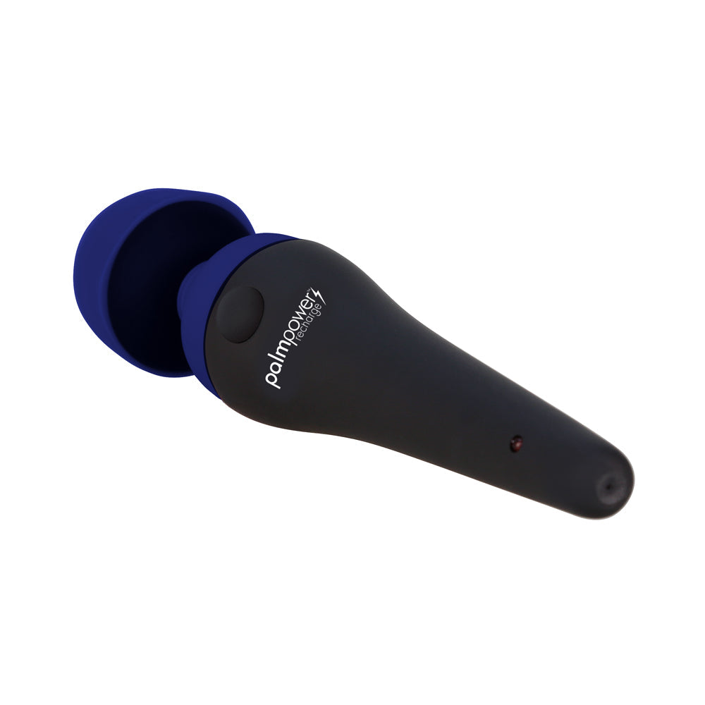 Palmpower Recharge Massager USB Blue