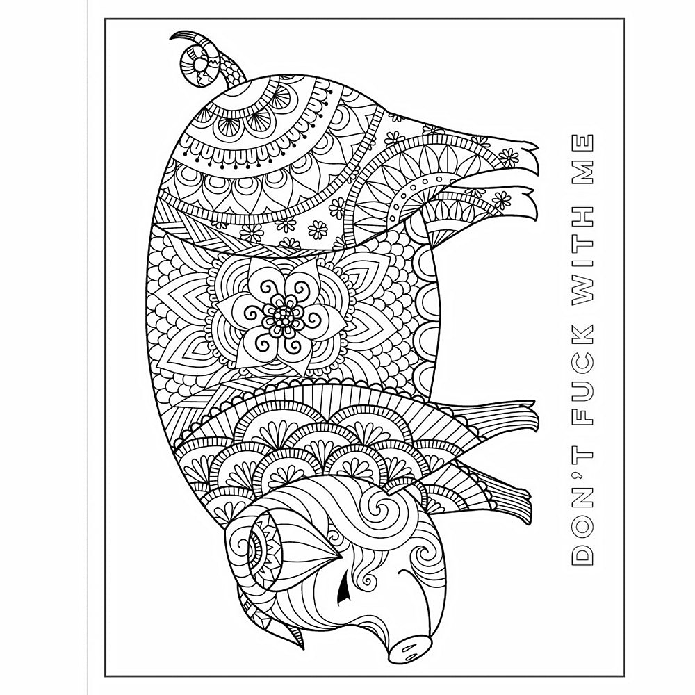 Chill the F*ck Out Coloring Book