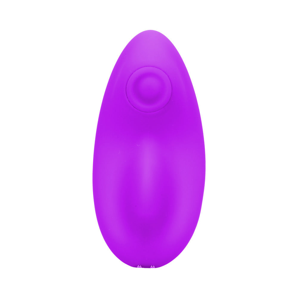 In A Bag Panty Vibe With Remote Purple