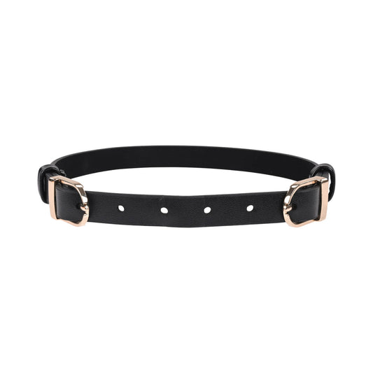 SS S&M Double Buckle Day Collar