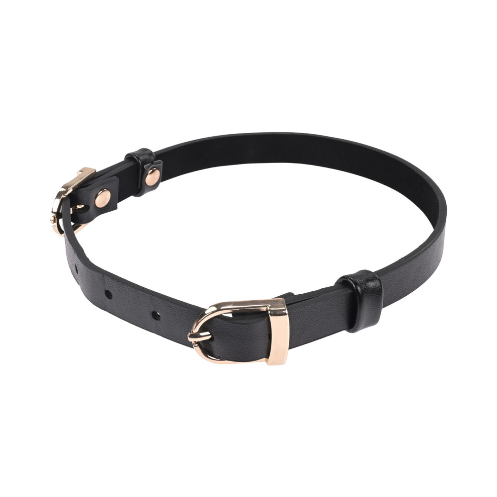 SS S&M Double Buckle Day Collar