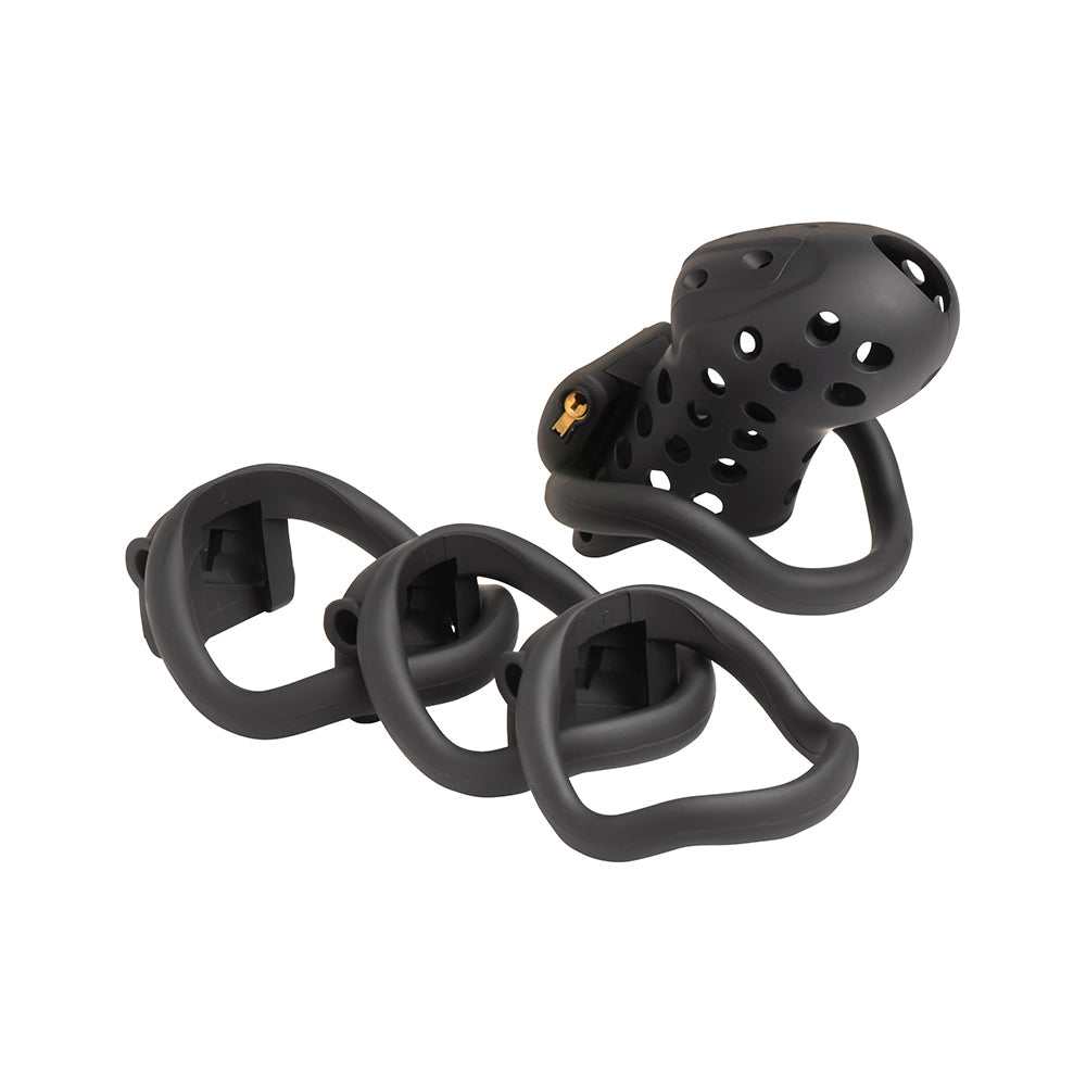Master Series Lock Down Chastity Cage