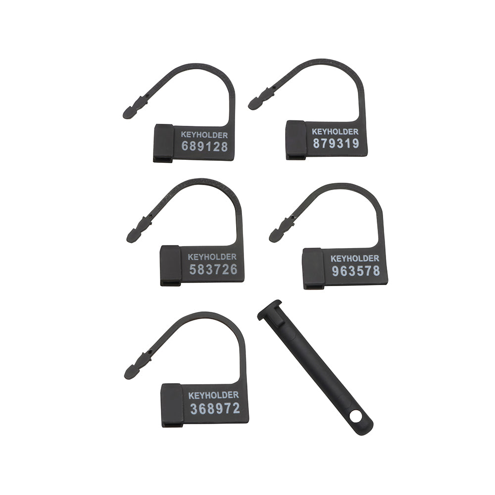 Master Series Lock Down Chastity Cage