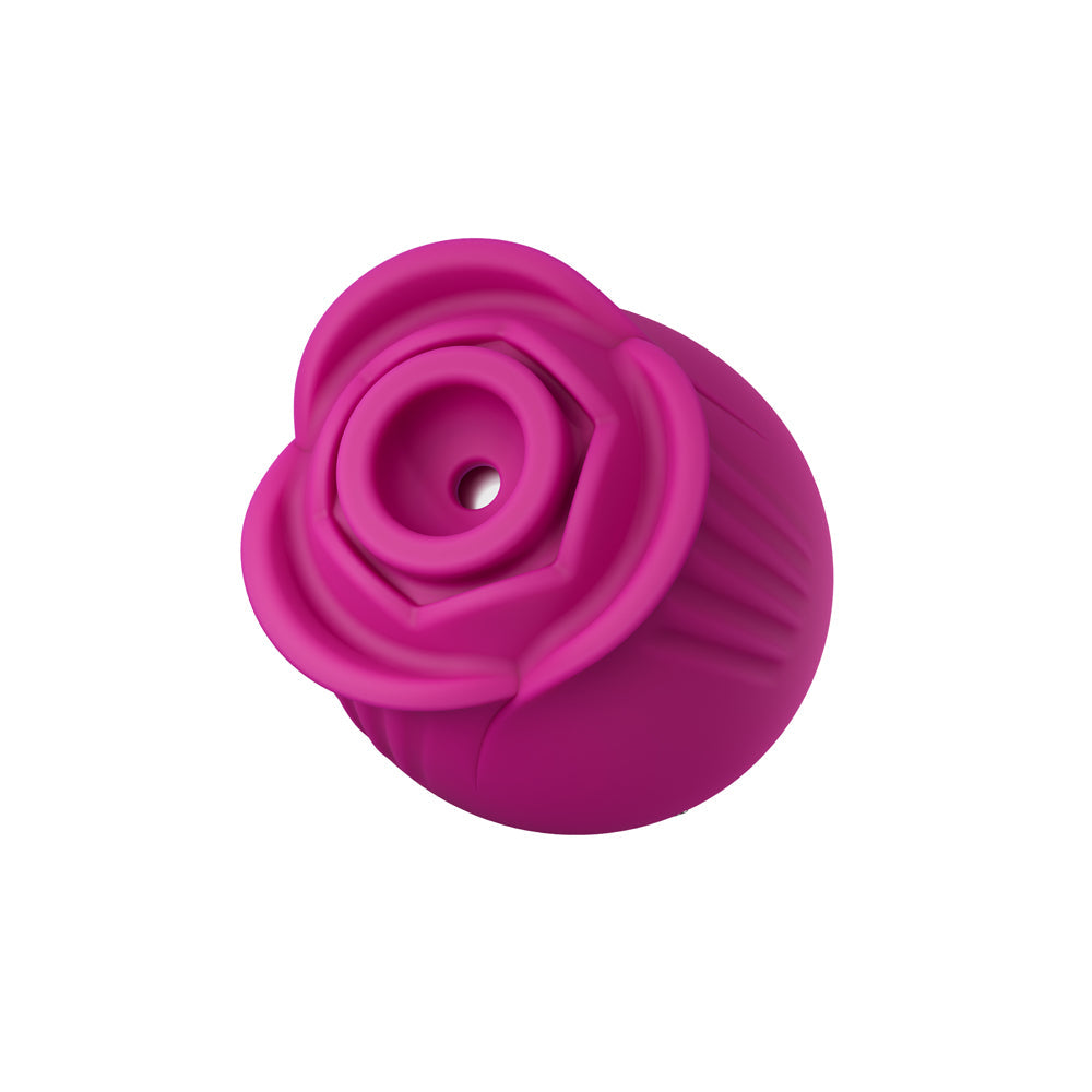 Blush Collection The Original Blush Rose Velvet
