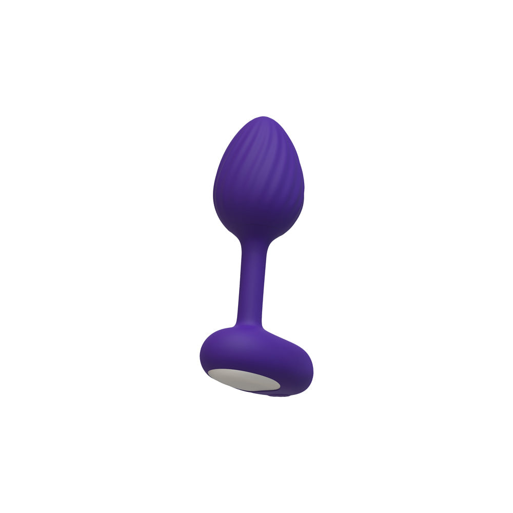 Luv Inc. Sp41: Luv Plug Purple Small