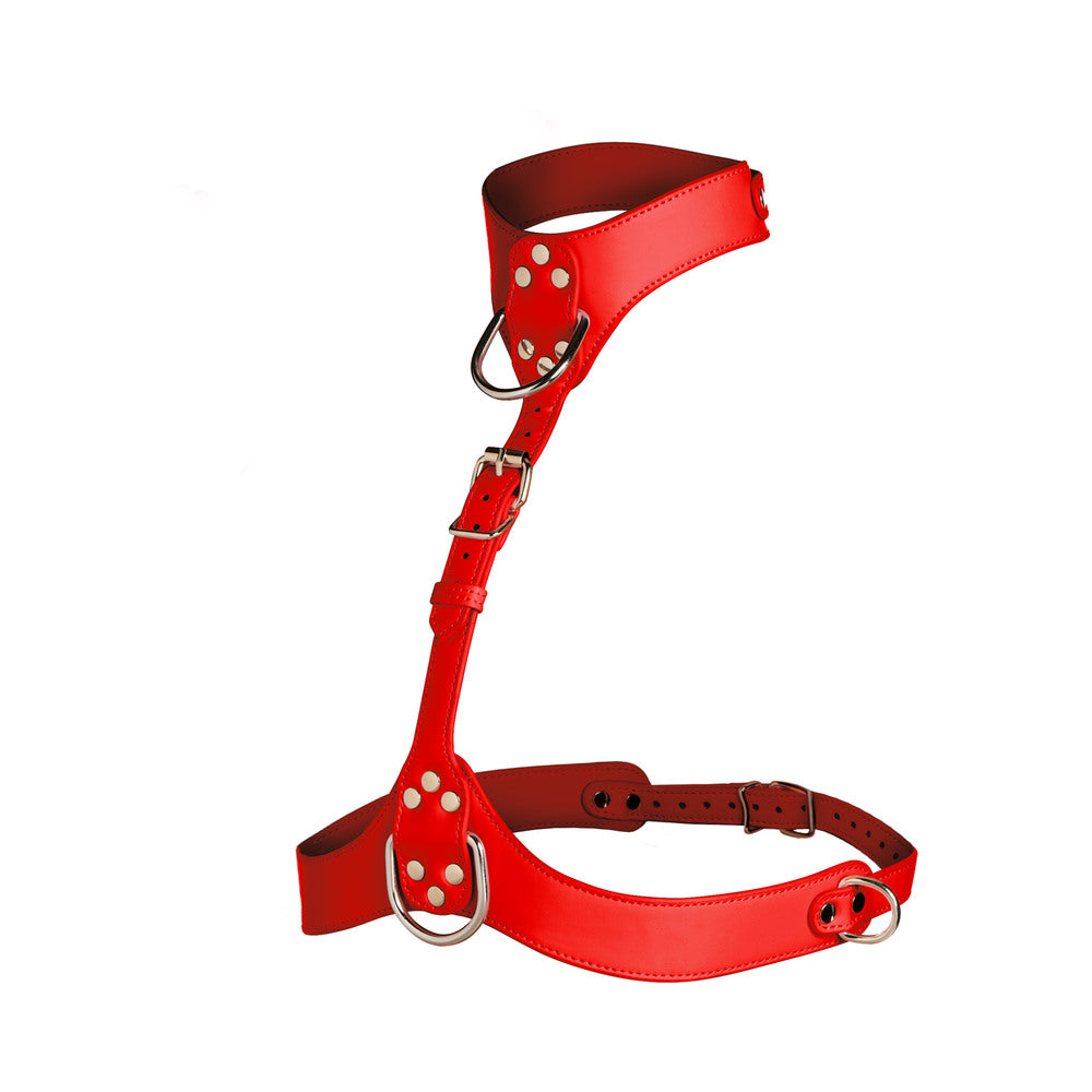 Master Series Vixen Chest Harness Red