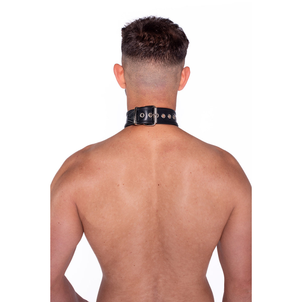 Prowler RED Leather Collar with Strap