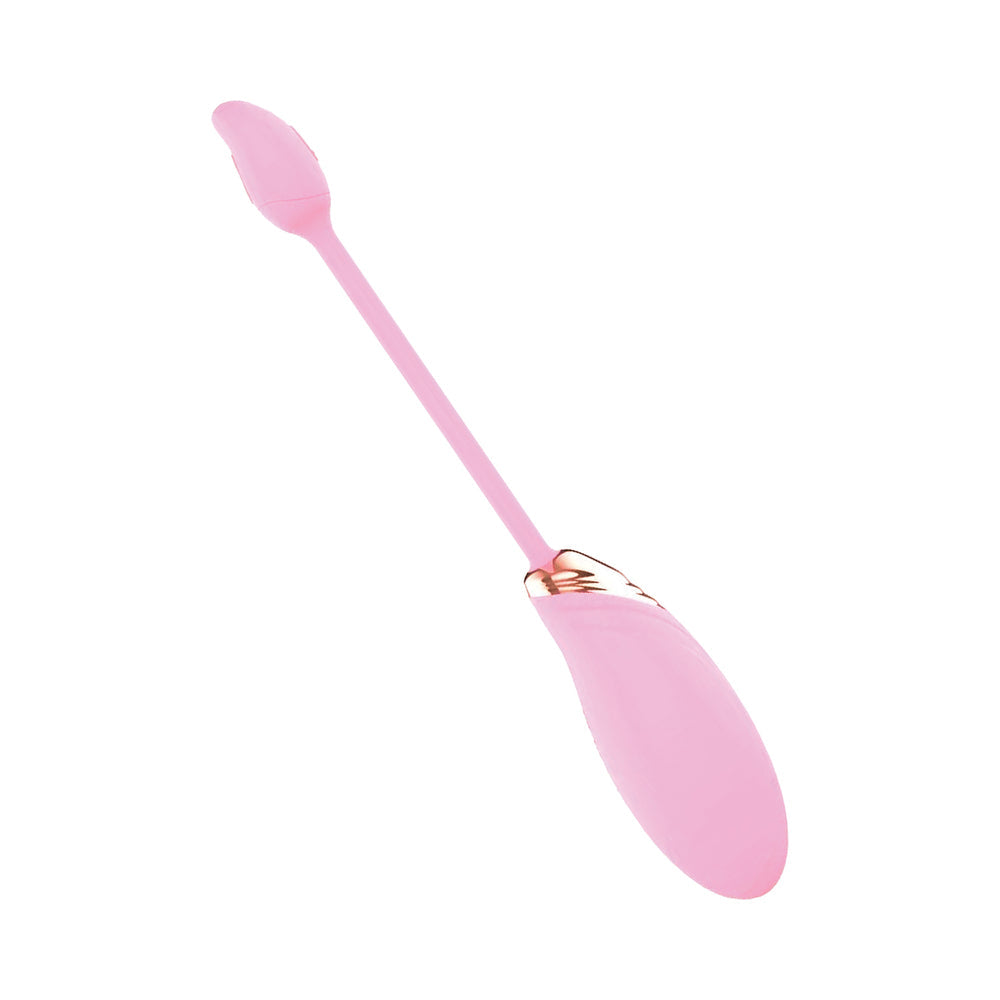 Blaze Dual Massager Kit Pink